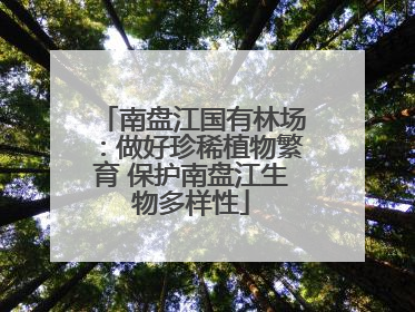 南盘江国有林场：做好珍稀植物繁育 保护南盘江生物多样性