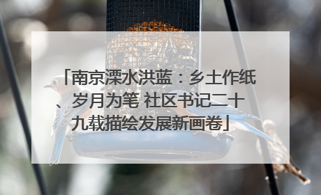 南京溧水洪蓝：乡土作纸、岁月为笔 社区书记二十九载描绘发展新画卷