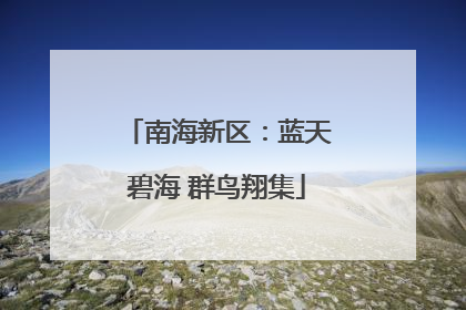 南海新区：蓝天碧海 群鸟翔集