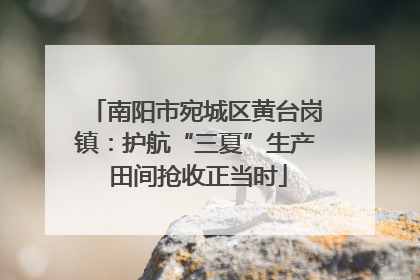 南阳市宛城区黄台岗镇：护航“三夏”生产 田间抢收正当时