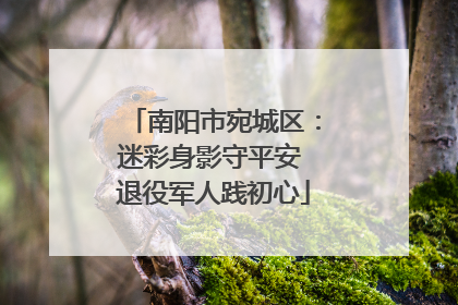 南阳市宛城区：迷彩身影守平安 退役军人践初心