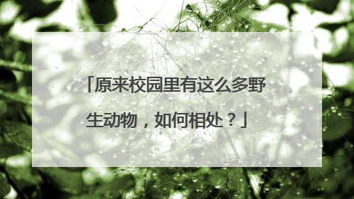 原来校园里有这么多野生动物，如何相处？