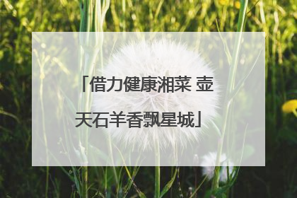 借力健康湘菜 壶天石羊香飘星城