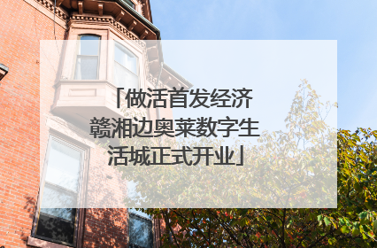 做活首发经济 赣湘边奥莱数字生活城正式开业