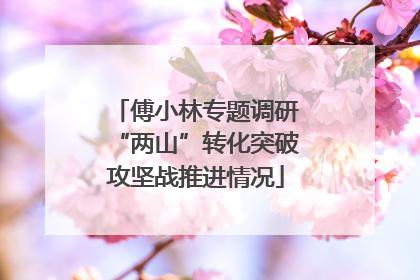 傅小林专题调研“两山”转化突破攻坚战推进情况