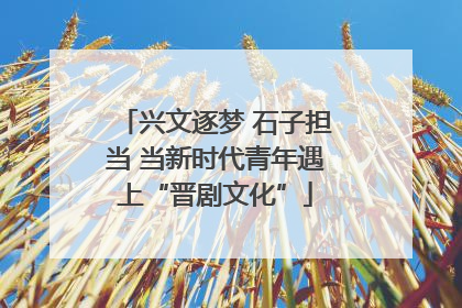 兴文逐梦 石子担当 当新时代青年遇上“晋剧文化”