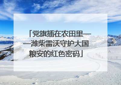 党旗插在农田里——潍柴雷沃守护大国粮安的红色密码