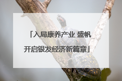 入局康养产业 盛帆开启银发经济新篇章
