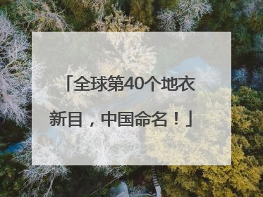 全球第40个地衣新目，中国命名！