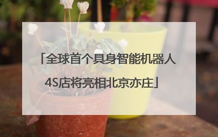 全球首个具身智能机器人4S店将亮相北京亦庄