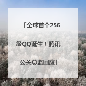 全球首个256级QQ诞生！腾讯公关总监回应