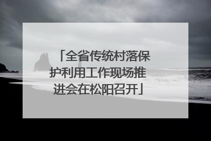 全省传统村落保护利用工作现场推进会在松阳召开
