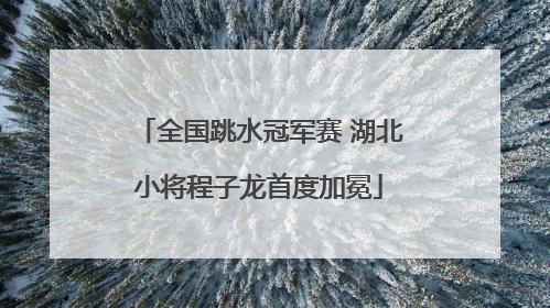 全国跳水冠军赛 湖北小将程子龙首度加冕