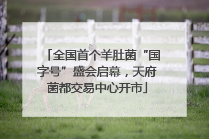 全国首个羊肚菌“国字号”盛会启幕，天府菌都交易中心开市