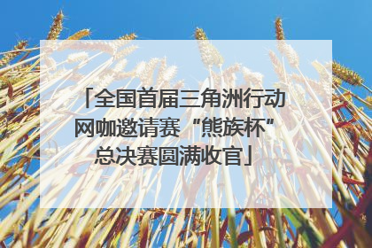全国首届三角洲行动网咖邀请赛“熊族杯”总决赛圆满收官