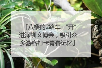 八楼的2路车 “开” 进深圳文博会，吸引众多游客打卡青春记忆