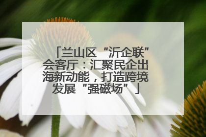兰山区“沂企联”会客厅：汇聚民企出海新动能，打造跨境发展“强磁场”