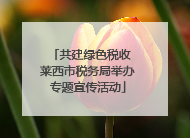 共建绿色税收 莱西市税务局举办专题宣传活动