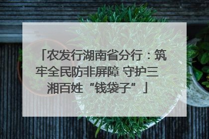 农发行湖南省分行：筑牢全民防非屏障 守护三湘百姓“钱袋子”