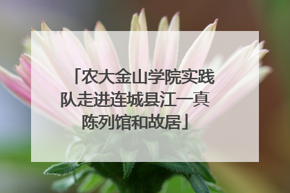 农大金山学院实践队走进连城县江一真陈列馆和故居