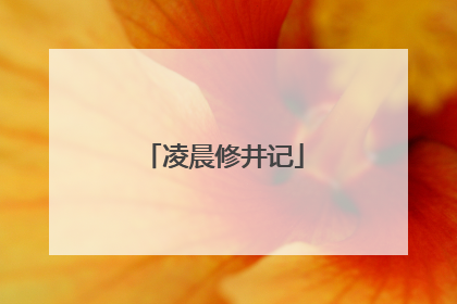 凌晨修井记