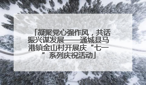 凝聚党心强作风，共话振兴谋发展——通城县马港镇金山村开展庆“七一”系列庆祝活动