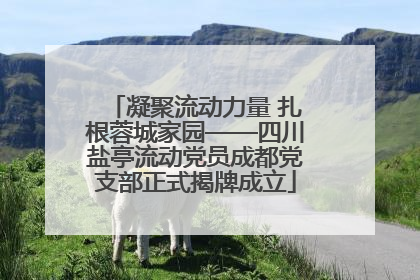 凝聚流动力量 扎根蓉城家园——四川盐亭流动党员成都党支部正式揭牌成立