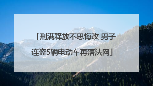 刑满释放不思悔改 男子连盗5辆电动车再落法网
