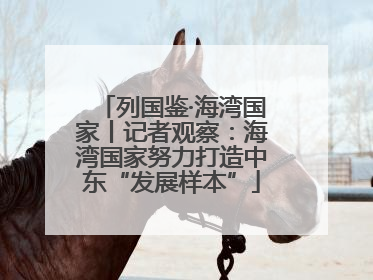 列国鉴·海湾国家丨记者观察：海湾国家努力打造中东“发展样本”