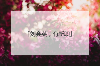 刘会英，有新职