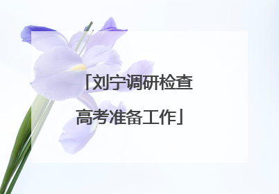 刘宁调研检查高考准备工作