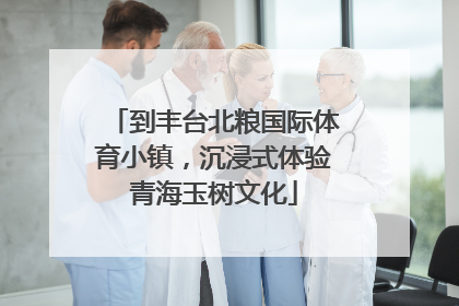 到丰台北粮国际体育小镇，沉浸式体验青海玉树文化
