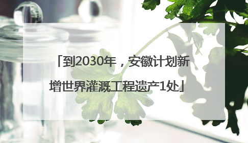 到2030年，安徽计划新增世界灌溉工程遗产1处