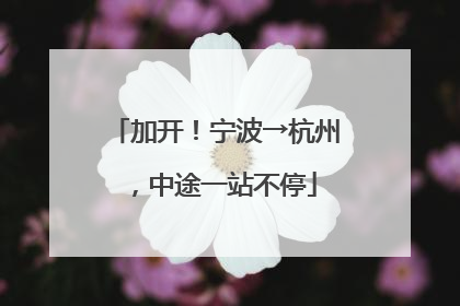 加开！宁波→杭州，中途一站不停
