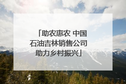 助农惠农 中国石油吉林销售公司助力乡村振兴