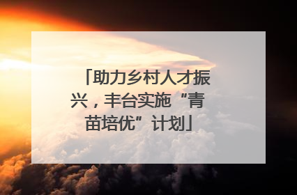 助力乡村人才振兴，丰台实施“青苗培优”计划