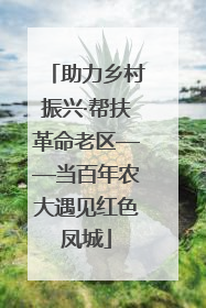 助力乡村振兴·帮扶革命老区——当百年农大遇见红色凤城