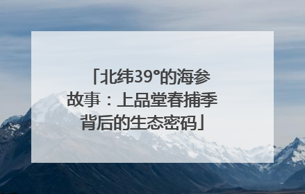 北纬39°的海参故事：上品堂春捕季背后的生态密码