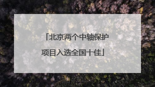 北京两个中轴保护项目入选全国十佳