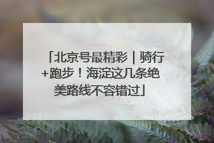 北京号最精彩｜骑行+跑步！海淀这几条绝美路线不容错过