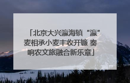 北京大兴瀛海镇“瀛”麦相承小麦丰收开镰 奏响农文旅融合新乐章