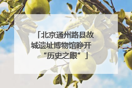 北京通州路县故城遗址博物馆睁开“历史之眼”