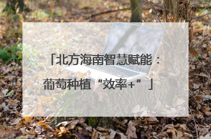 北方海南智慧赋能：葡萄种植“效率+”