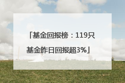 基金回报榜：119只基金昨日回报超3%