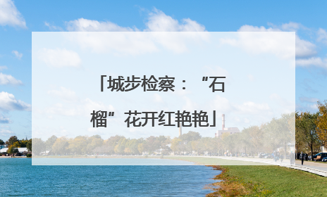 城步检察：“石榴”花开红艳艳