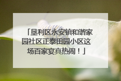 垦利区永安镇和谐家园社区正泰田园小区这场百家宴真热闹！