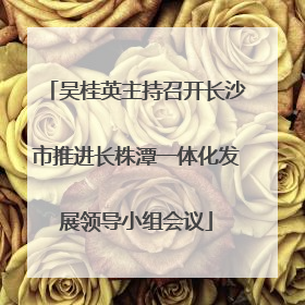 吴桂英主持召开长沙市推进长株潭一体化发展领导小组会议