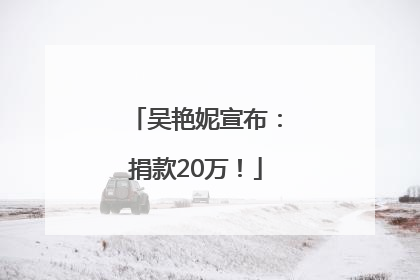 吴艳妮宣布：捐款20万！