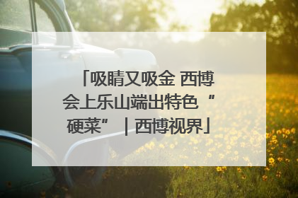 吸睛又吸金 西博会上乐山端出特色“硬菜”｜西博视界