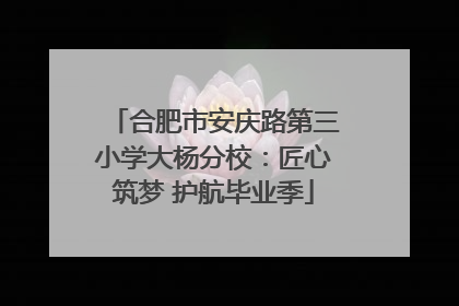 合肥市安庆路第三小学大杨分校：匠心筑梦 护航毕业季